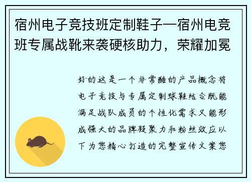 宿州电子竞技班定制鞋子—宿州电竞班专属战靴来袭硬核助力，荣耀加冕
